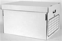 Archive Box with Lid ( 2 per pack ) Holds 4 Lever Arch Files